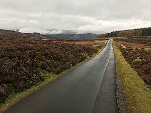 Craig Hill loop. Nice even tarred surface