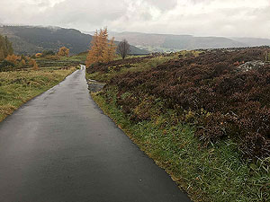Craig Hill loop. Heading towards Kenmore