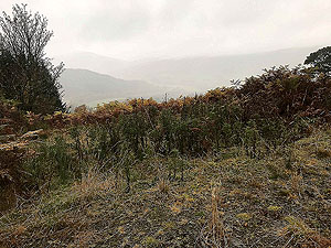 Craig Hill loop. Image from Craig Hill loop