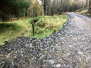 Craig Hill loop. Easy to miss the path on the left