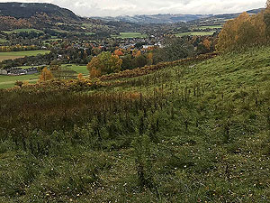 Craig Hill loop. Looking down on Aberfeldy