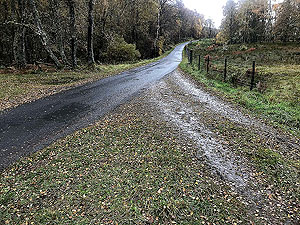 Craig Hill loop. Short section on the road