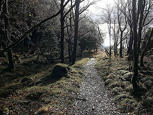 Rowerdennan to Loch Arklet. On the low path