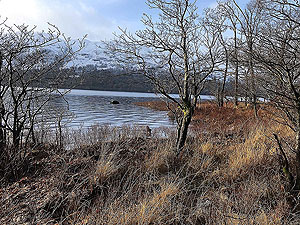 Rowerdennan to Loch Arklet. 576_sm_016.jpg