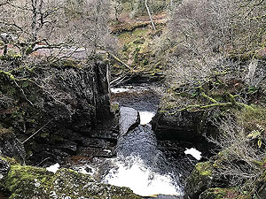 Bracklinn falls loop. View of the falls