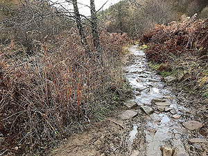 Bracklinn falls loop. The path can get muddy in parts