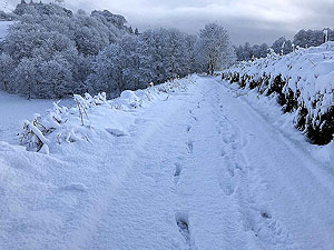 Sheriffmuir loop. A lovely winter morning