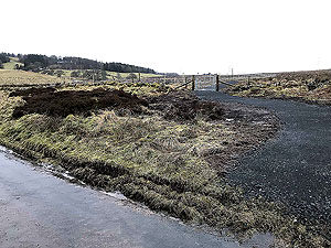 Sheriffmuir loop. Path leaving the road