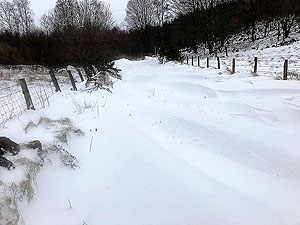 Sheriffmuir loop. This was tough to get through