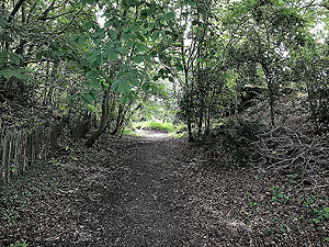 Sheriffmuir loop. Section where the trail runs alongside the road