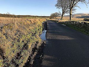 Sheriffmuir loop. Towards the monument