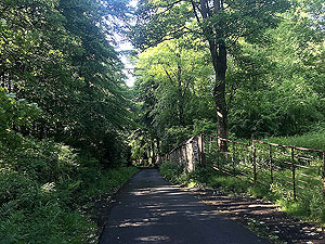 Sheriffmuir loop. A blaze of green looking back down the hill