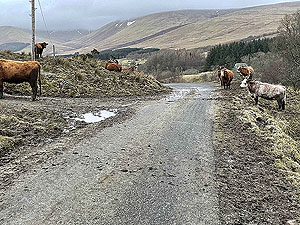 Small 3 Lochs loop. 581_sm_029.jpg