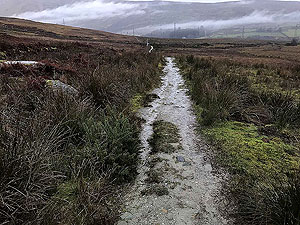 Run Ben Bouie loop.  : Looking back at Glen Fuin