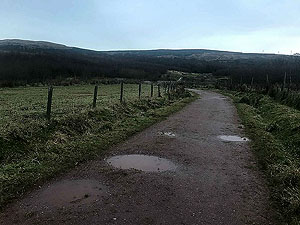 Run Ben Bouie loop.  : Past the farm building