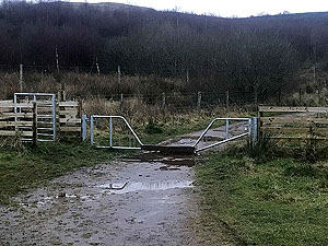 Run Ben Bouie loop.  : Weird gate for a wee jump over