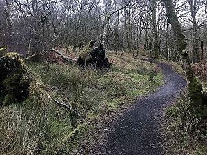 Run Ben Bouie loop.  : Nice and soft