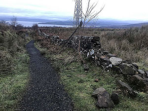Run Ben Bouie loop.  : From the trail section looking back
