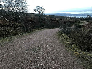 Run Ben Bouie loop.  : Start of the climb on the dirt road