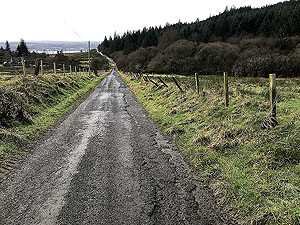 Run Ben Bouie loop.  : Stoneymollan road