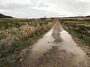 Run Ben Bouie loop.  : Heading uphill from the farm