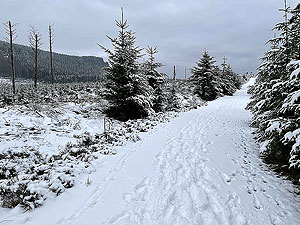 Run Ben Bouie loop.  : Around Ben Bouie