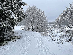 Run Ben Bouie loop.  : Lovey and quiet