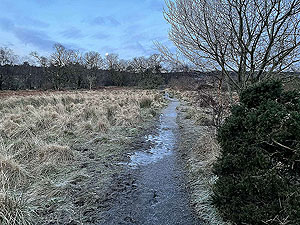 Run Ben Bouie loop.  : Can get a little muddy