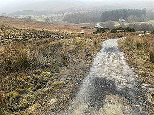 Run Ben Bouie loop.  : Mudddy trail from Geln Fruin road