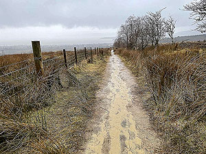 Run Ben Bouie loop.  : A rather wet descent