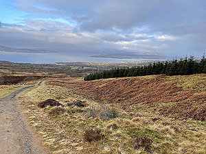 Run Ben Bouie loop  :  Higher up the hill