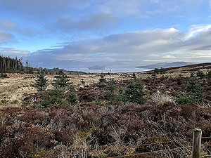 Run Ben Bouie loop.  : Loch Lomond in the distance