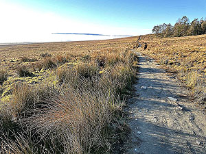 Run Ben Bouie loop.  : A flat section