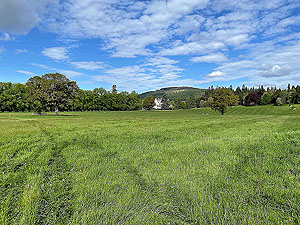 Gallus Running  : Looking towards the castle