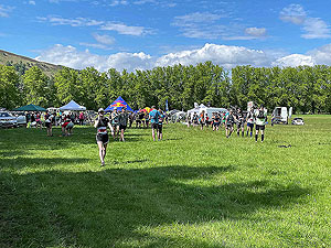 Gallus Running  : Starting to get busy