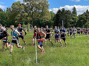 Gallus Running  : Slow through the long grass