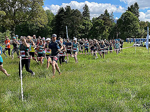 Gallus Running  : Last of the first wave