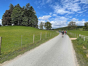 Gallus Running  : Out on the open road