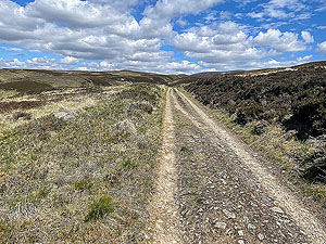 Gallus Running  : Clear sky and open road ahead