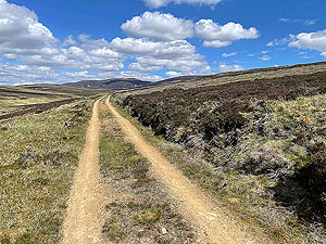 Gallus Running  : First sight of the main climb