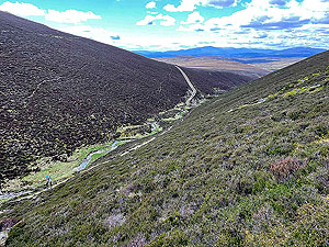 Gallus Running  : Looking back down the hill