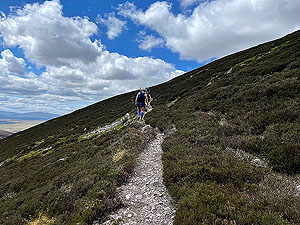 Gallus Running  : Most are walking at this stage