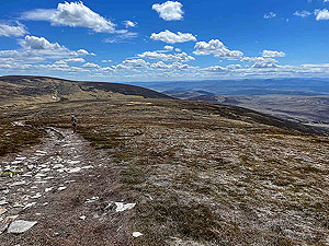 Gallus Running  : Short flatish section