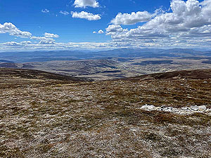 Gallus Running  : Near the top