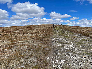 Gallus Running  : Top is in sight