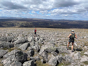 Gallus Running  : Time for a picture