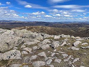 Gallus Running  : View across the countryside