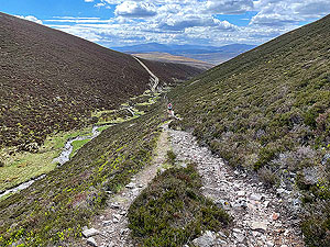 Gallus Running  : Near the bottom of the hill heading back across the stream