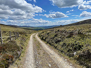 Gallus Running  : Feels like it goes on forever