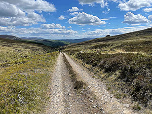 Gallus Running  : Still going down hill